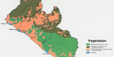 რუკა მცენარეულობის რუკა ლიბერიის